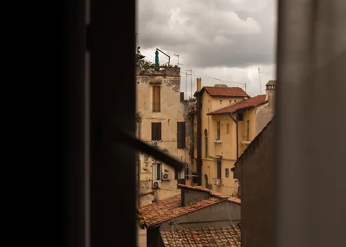 Colosseum View Rome